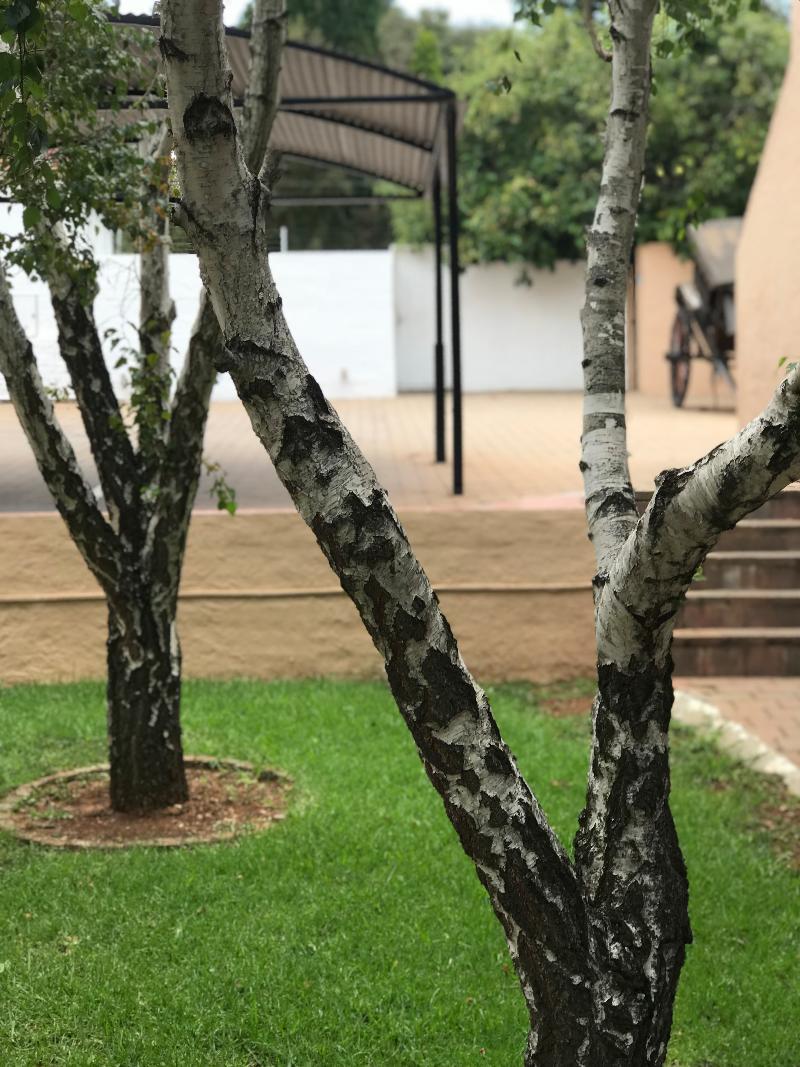 Glenalmond Hotel Sandton Buitenkant foto